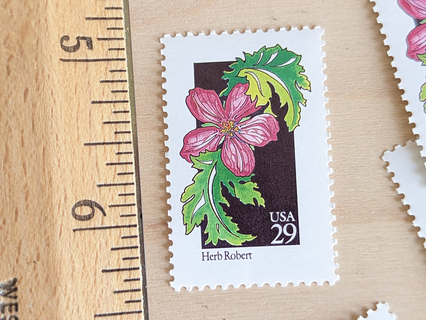 Set of 5 Herb Robert Wildflower Stamps, 29 cent stamps, 1992 Unused USPS Postage Stamp