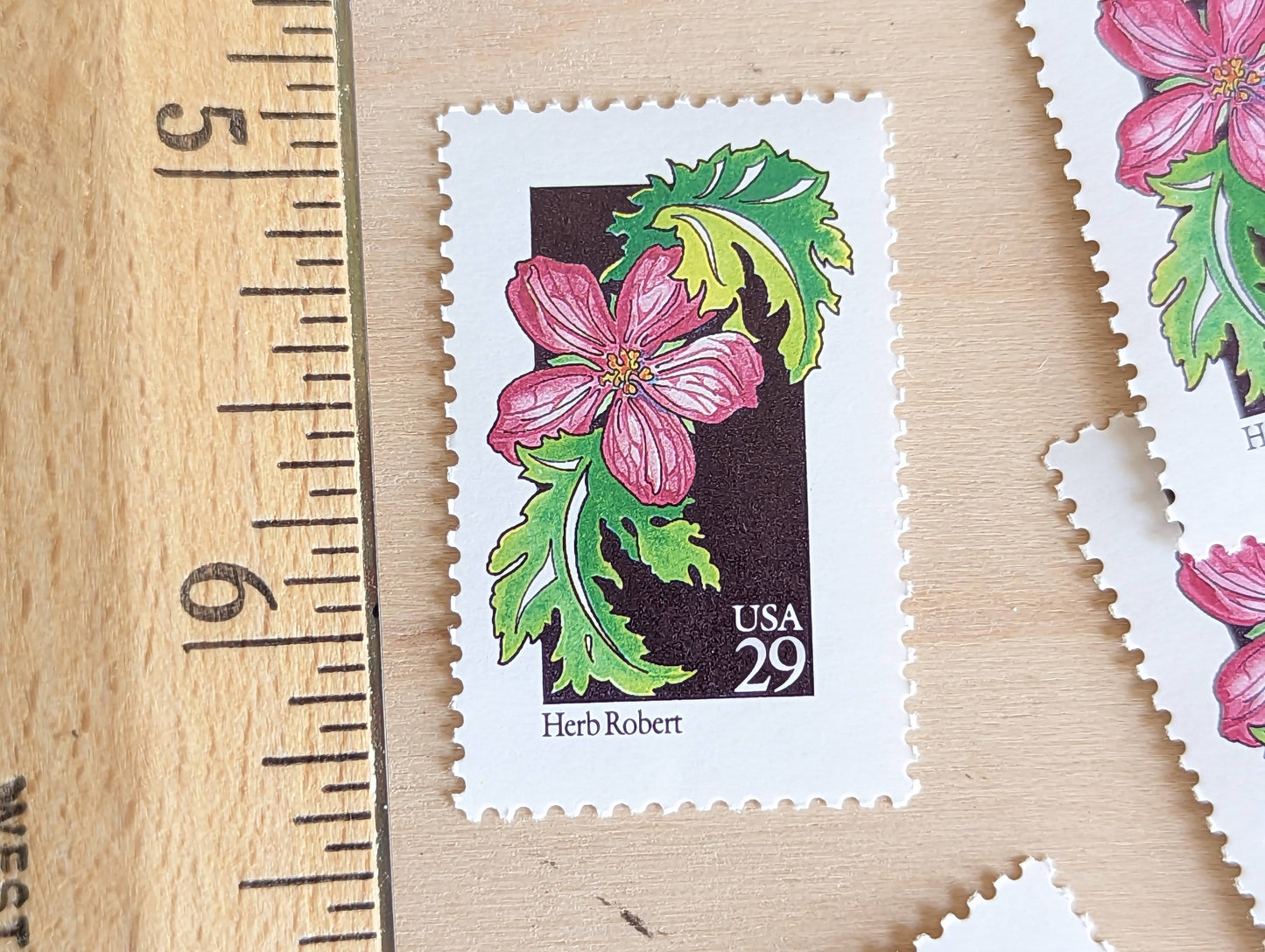 Set of 5 Herb Robert Wildflower Stamps, 29 cent stamps, 1992 Unused USPS Postage Stamp