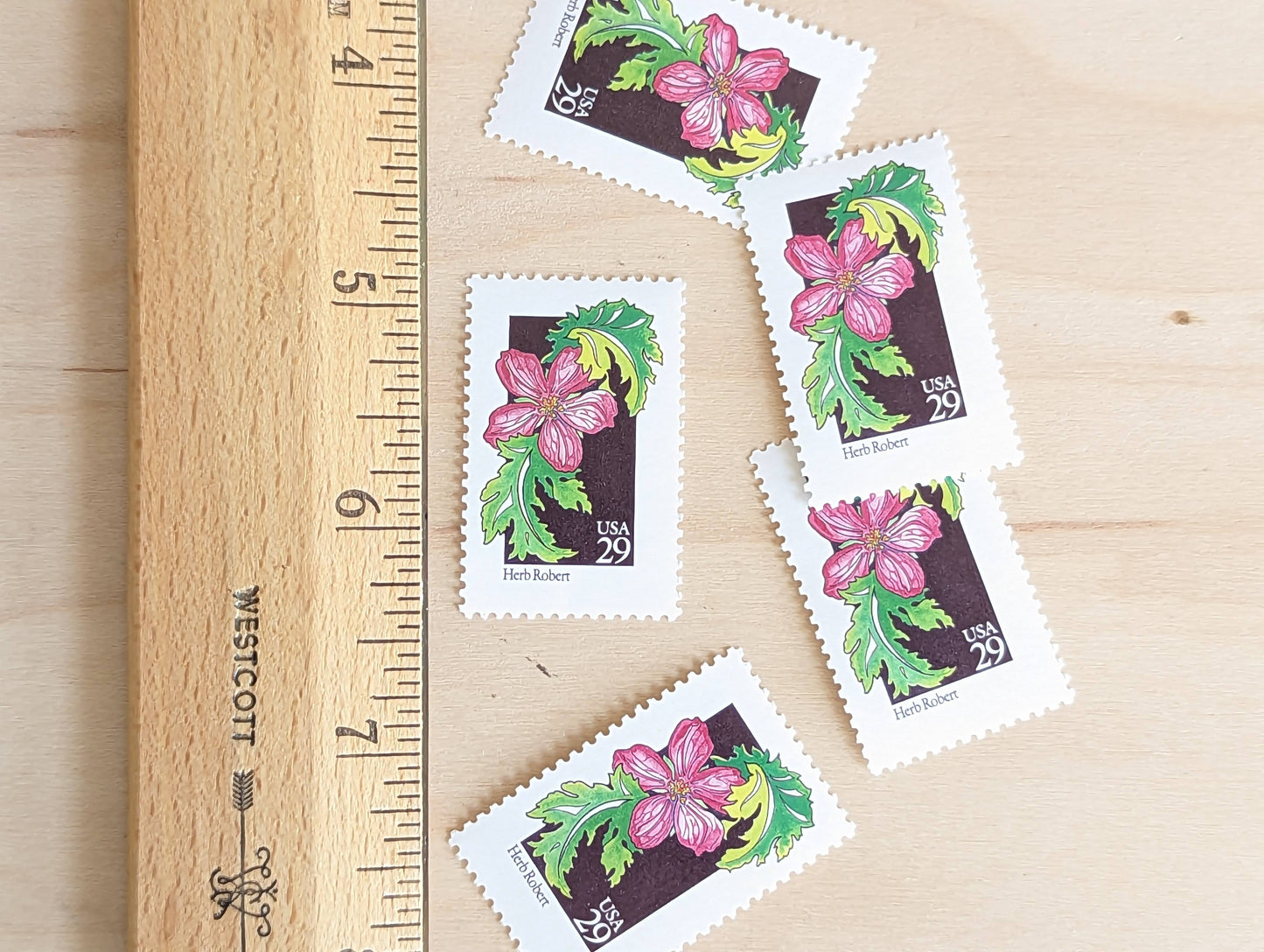 Set of 5 Herb Robert Wildflower Stamps, 29 cent stamps, 1992 Unused USPS Postage Stamp