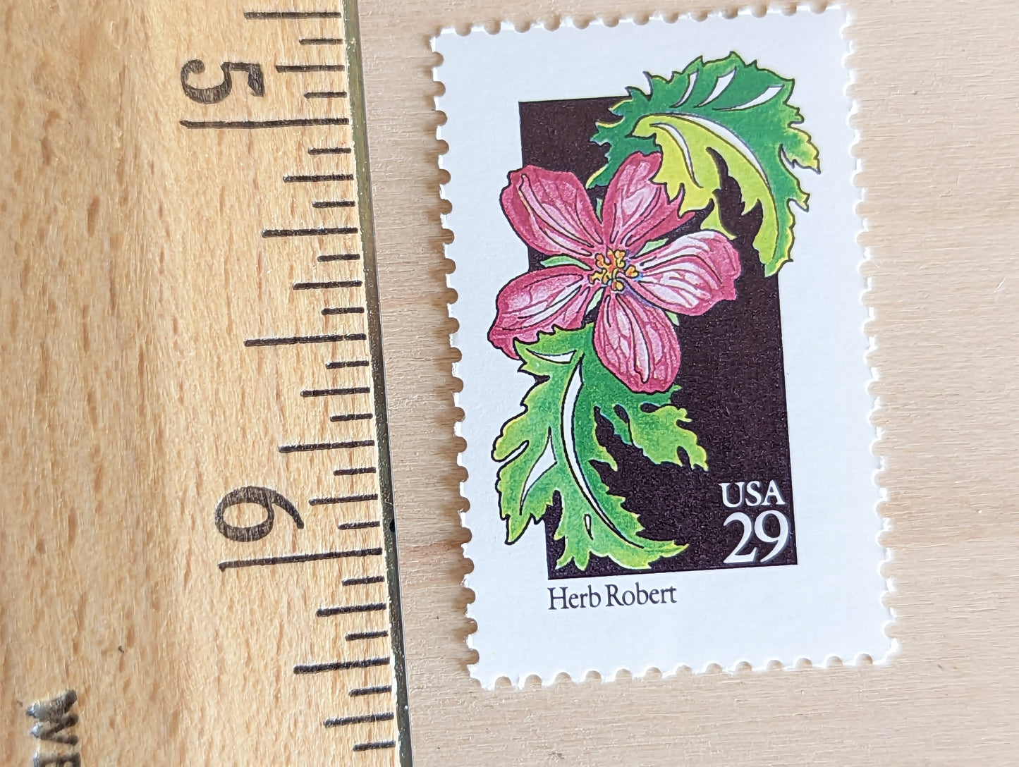 Set of 5 Herb Robert Wildflower Stamps, 29 cent stamps, 1992 Unused USPS Postage Stamp