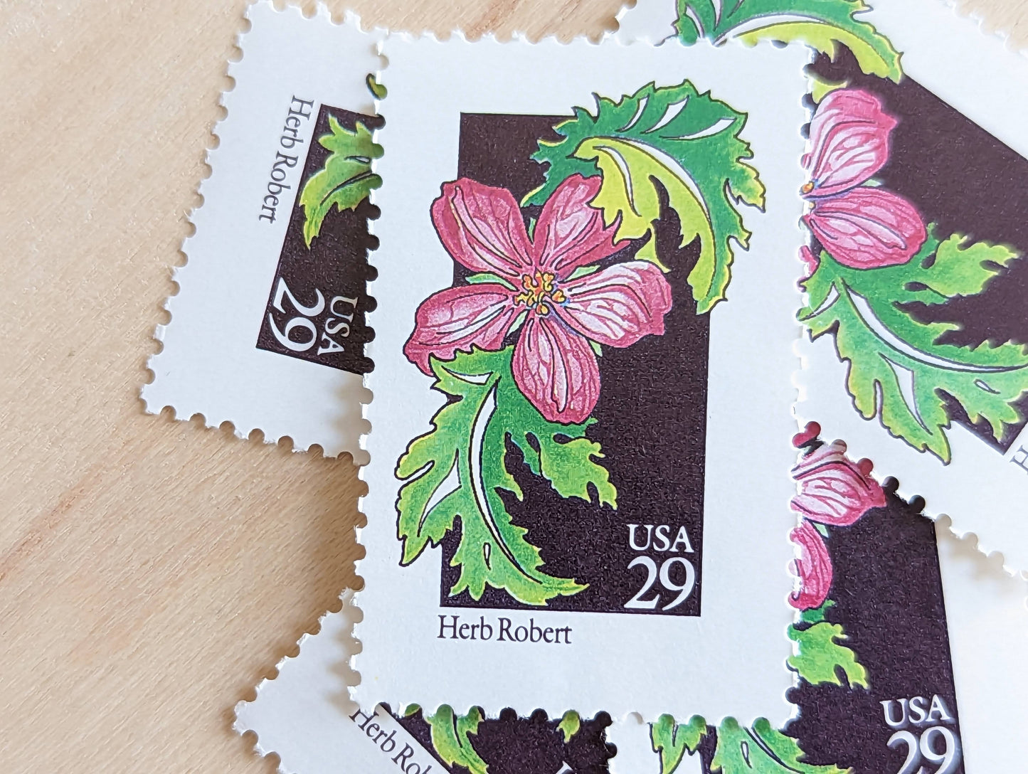 Set of 5 Herb Robert Wildflower Stamps, 29 cent stamps, 1992 Unused USPS Postage Stamp