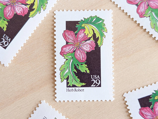 Set of 5 Herb Robert Wildflower Stamps, 29 cent stamps, 1992 Unused USPS Postage Stamp