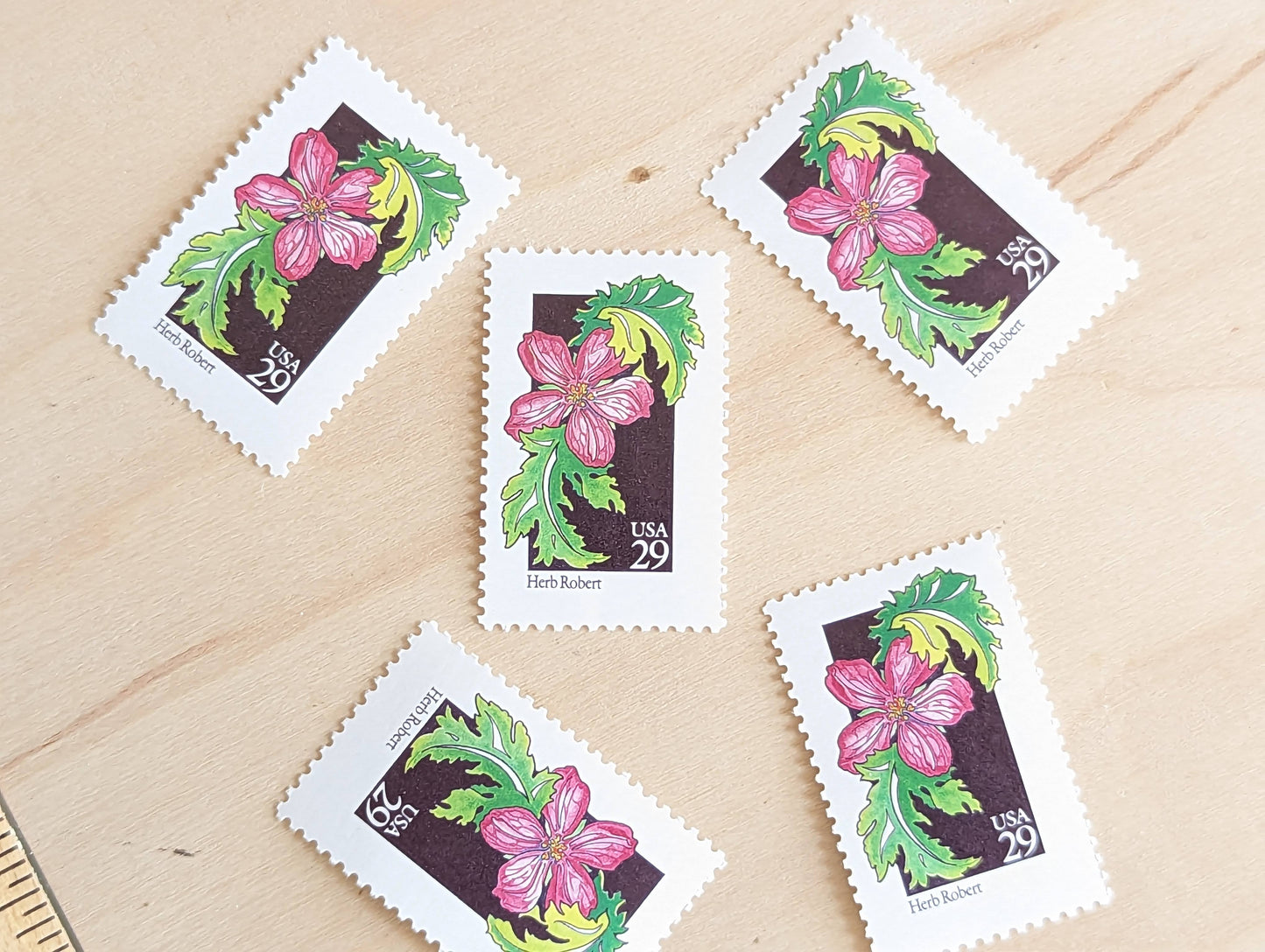 Set of 5 Herb Robert Wildflower Stamps, 29 cent stamps, 1992 Unused USPS Postage Stamp