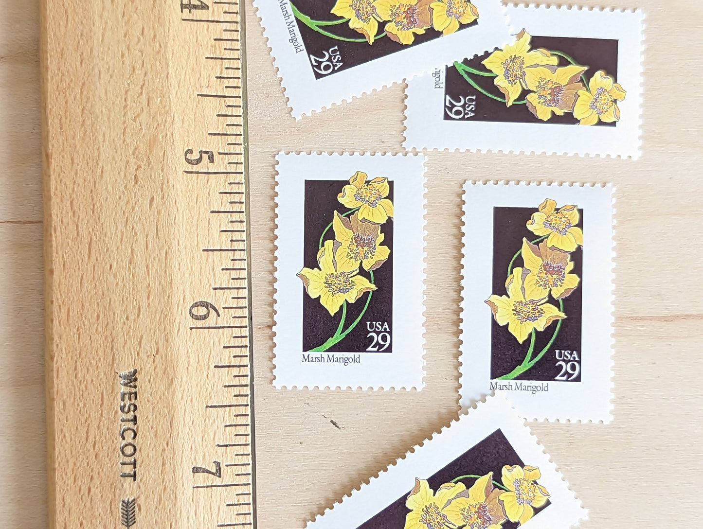 Set of 5 Marsh Marigold Wildflower Stamps, 29 cent stamps, 1992 Unused USPS Postage Stamp