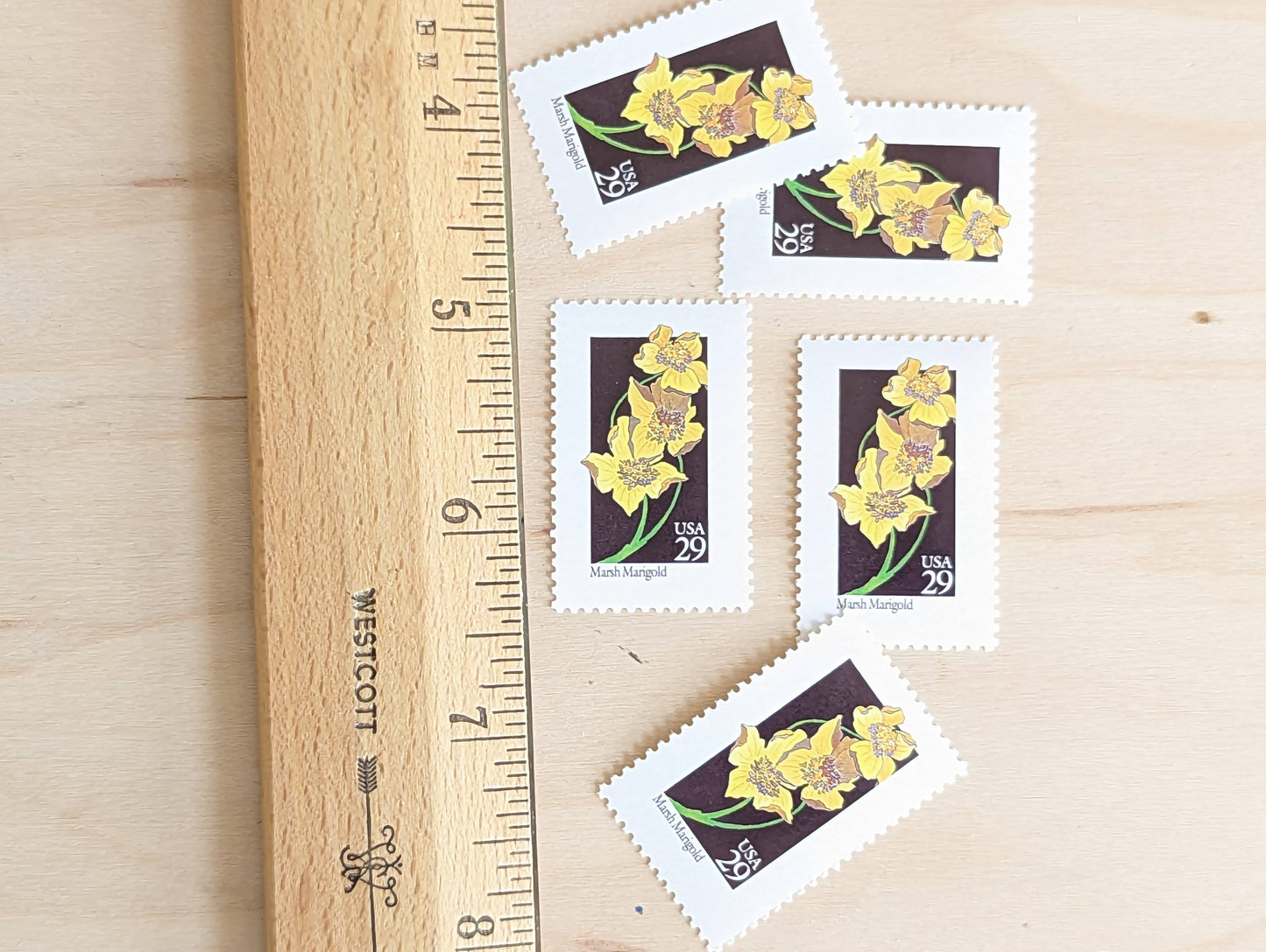 Set of 5 Marsh Marigold Wildflower Stamps, 29 cent stamps, 1992 Unused USPS Postage Stamp