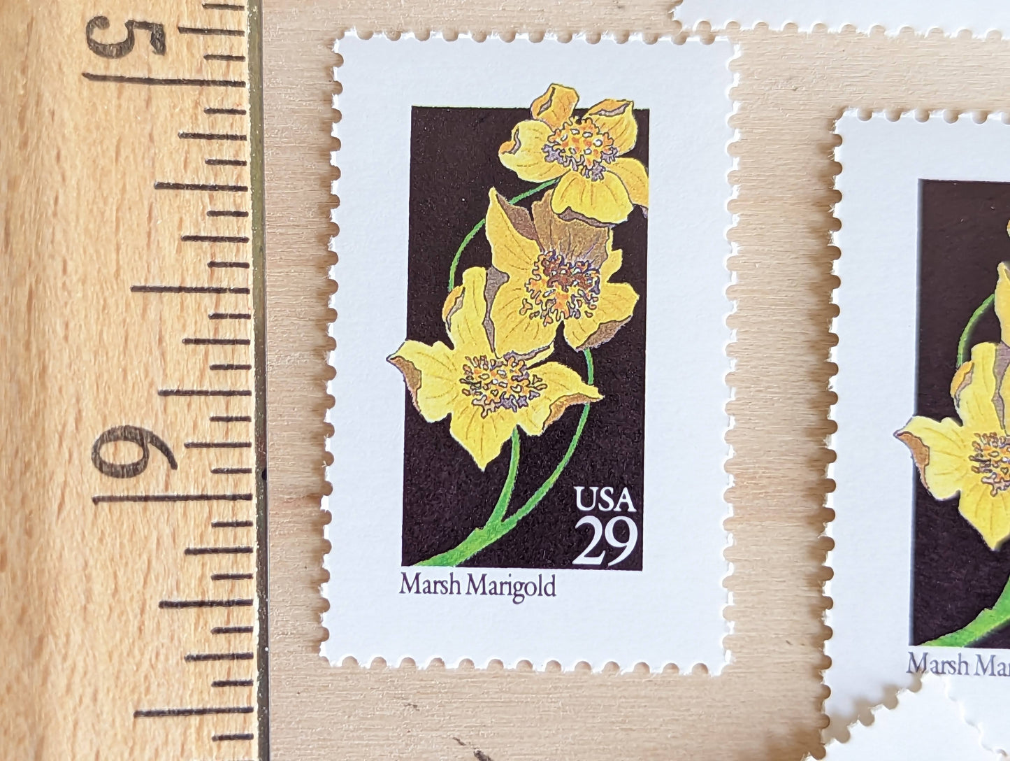 Set of 5 Marsh Marigold Wildflower Stamps, 29 cent stamps, 1992 Unused USPS Postage Stamp