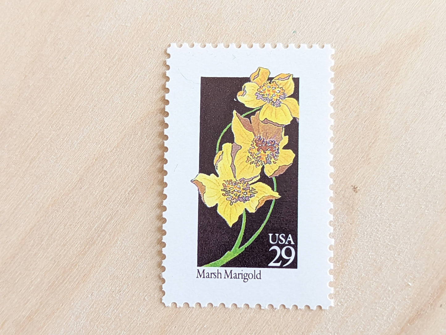 Set of 5 Marsh Marigold Wildflower Stamps, 29 cent stamps, 1992 Unused USPS Postage Stamp