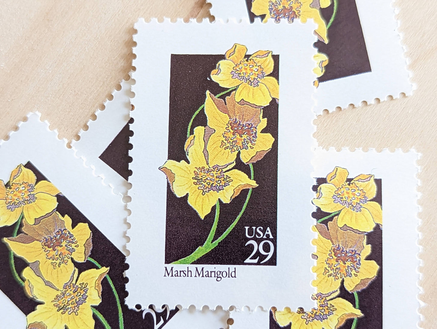 Set of 5 Marsh Marigold Wildflower Stamps, 29 cent stamps, 1992 Unused USPS Postage Stamp