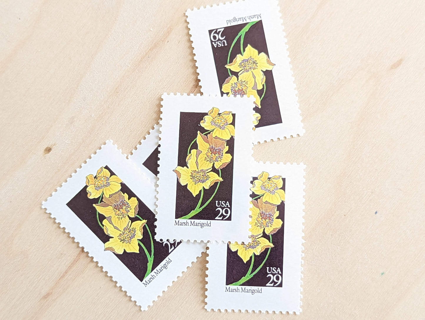 Set of 5 Marsh Marigold Wildflower Stamps, 29 cent stamps, 1992 Unused USPS Postage Stamp