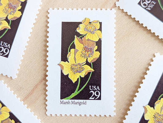 Set of 5 Marsh Marigold Wildflower Stamps, 29 cent stamps, 1992 Unused USPS Postage Stamp