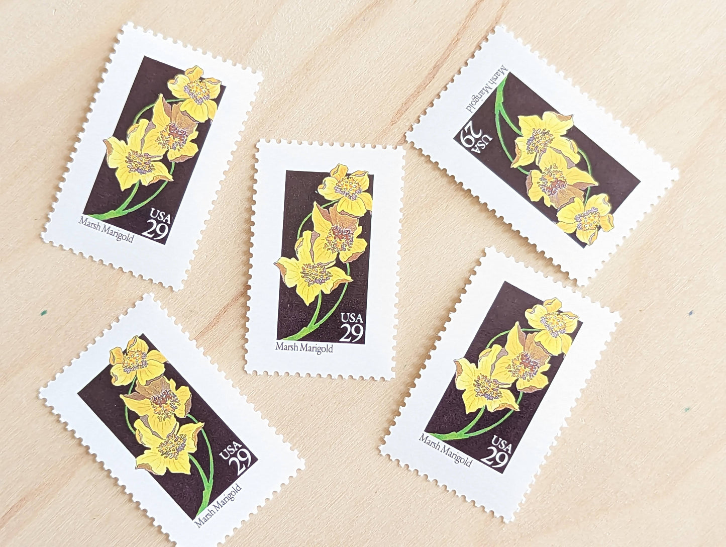 Set of 5 Marsh Marigold Wildflower Stamps, 29 cent stamps, 1992 Unused USPS Postage Stamp