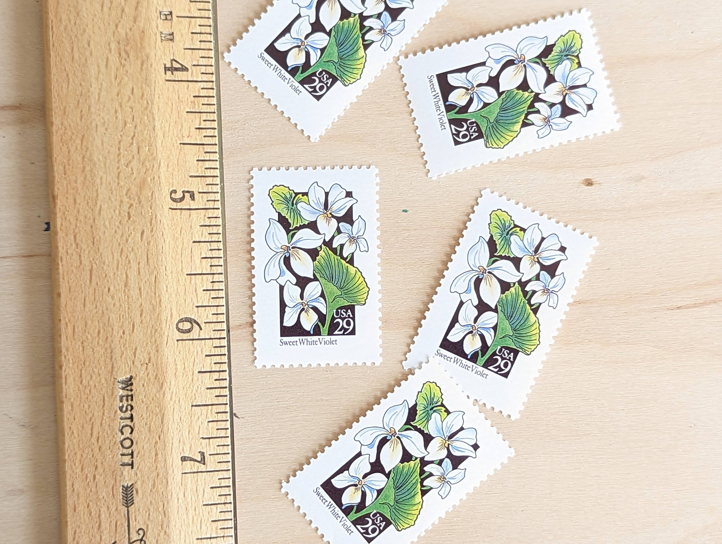 Set of 5 Sweet White Violet Wildflower Stamps, 29 cent stamps, 1992 Unused USPS Postage Stamp