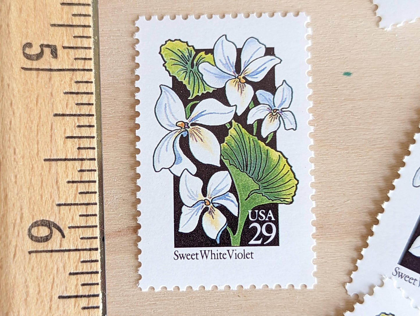 Set of 5 Sweet White Violet Wildflower Stamps, 29 cent stamps, 1992 Unused USPS Postage Stamp