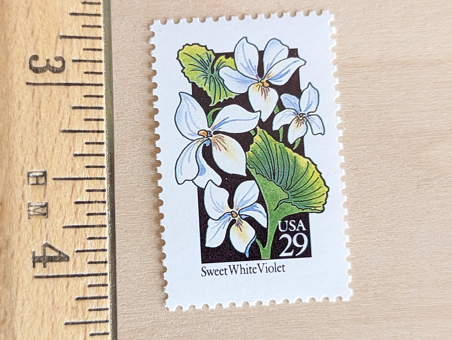 Set of 5 Sweet White Violet Wildflower Stamps, 29 cent stamps, 1992 Unused USPS Postage Stamp