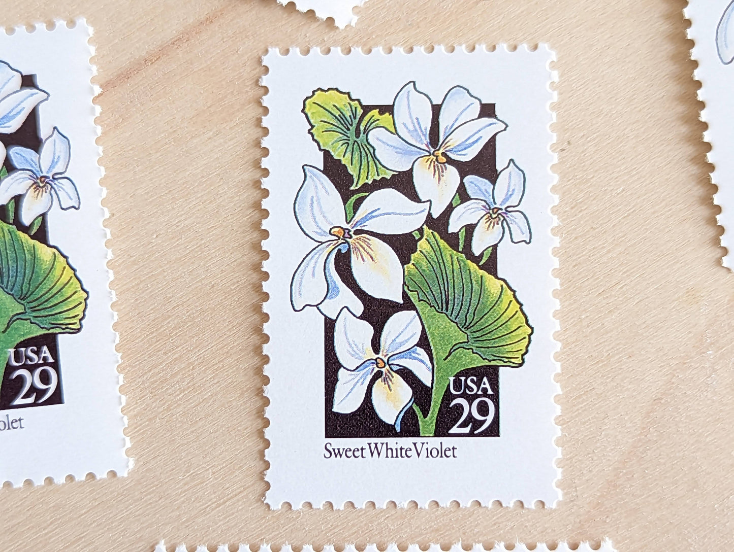 Set of 5 Sweet White Violet Wildflower Stamps, 29 cent stamps, 1992 Unused USPS Postage Stamp