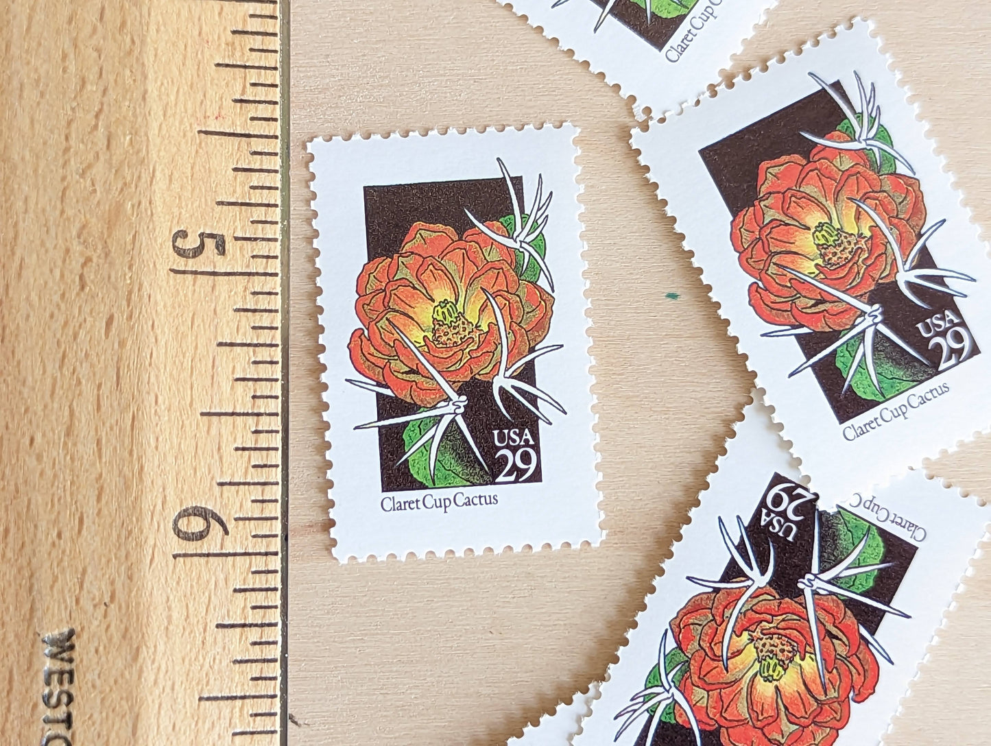 Set of 5 Claret Cup Cactus Wildflower Stamps, 29 cent stamps, 1992 Unused USPS Postage Stamp