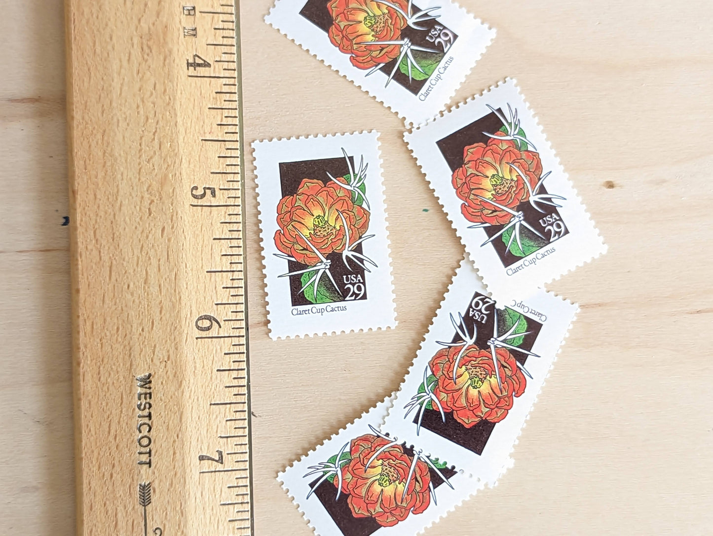 Set of 5 Claret Cup Cactus Wildflower Stamps, 29 cent stamps, 1992 Unused USPS Postage Stamp