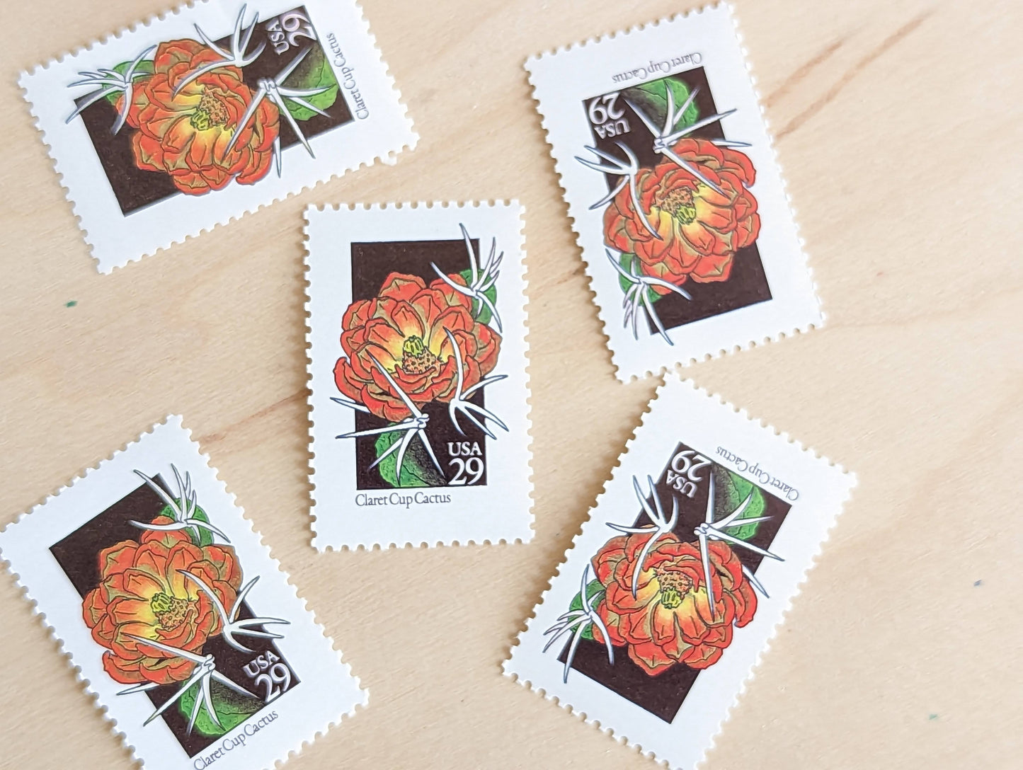 Set of 5 Claret Cup Cactus Wildflower Stamps, 29 cent stamps, 1992 Unused USPS Postage Stamp