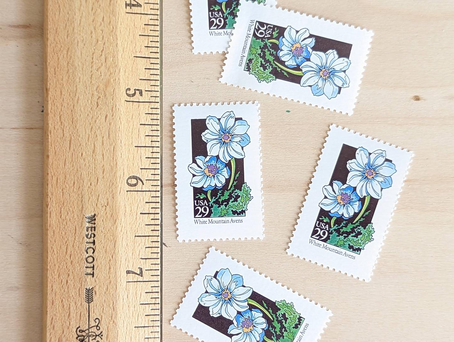 Set of 5 White Mountain Avens Wildflower Stamps, 29 cent stamps, 1992 Unused USPS Postage Stamp