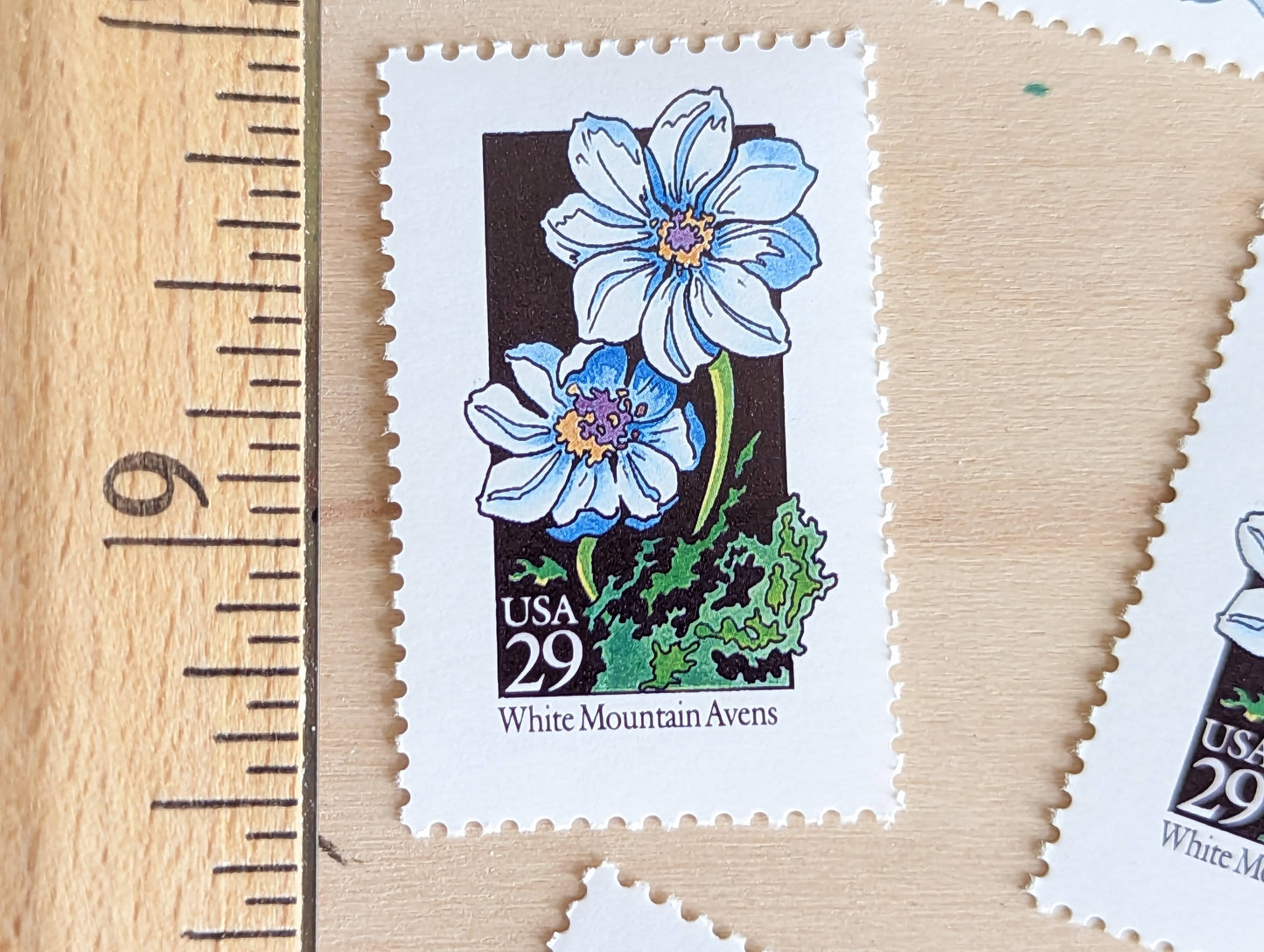 Set of 5 White Mountain Avens Wildflower Stamps, 29 cent stamps, 1992 Unused USPS Postage Stamp