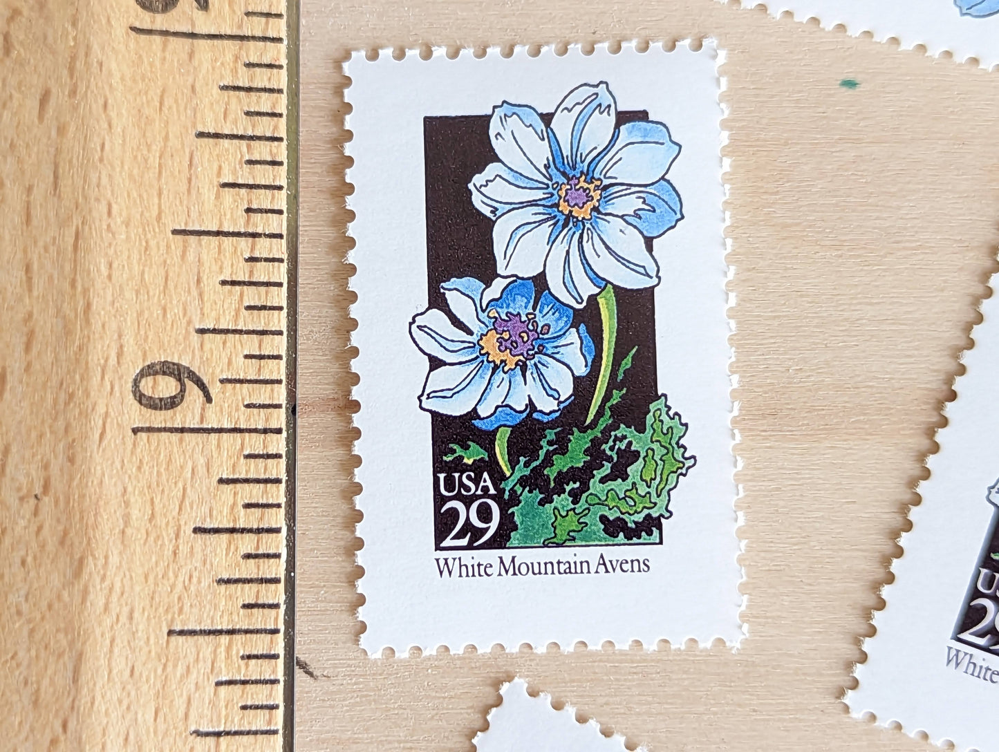 Set of 5 White Mountain Avens Wildflower Stamps, 29 cent stamps, 1992 Unused USPS Postage Stamp