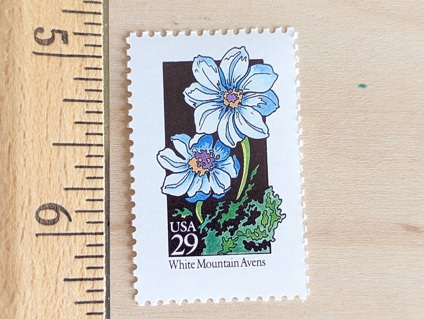 Set of 5 White Mountain Avens Wildflower Stamps, 29 cent stamps, 1992 Unused USPS Postage Stamp