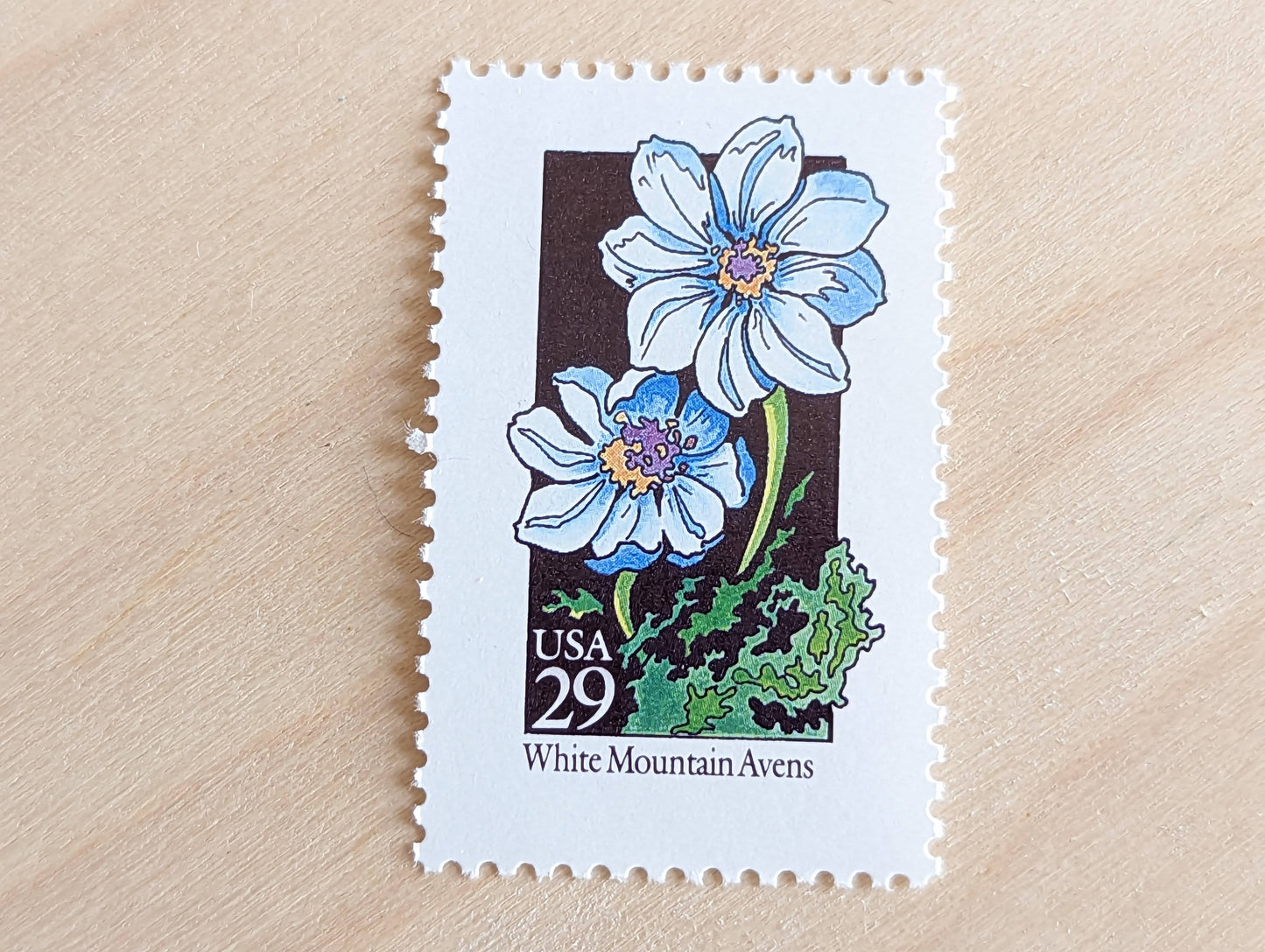 Set of 5 White Mountain Avens Wildflower Stamps, 29 cent stamps, 1992 Unused USPS Postage Stamp