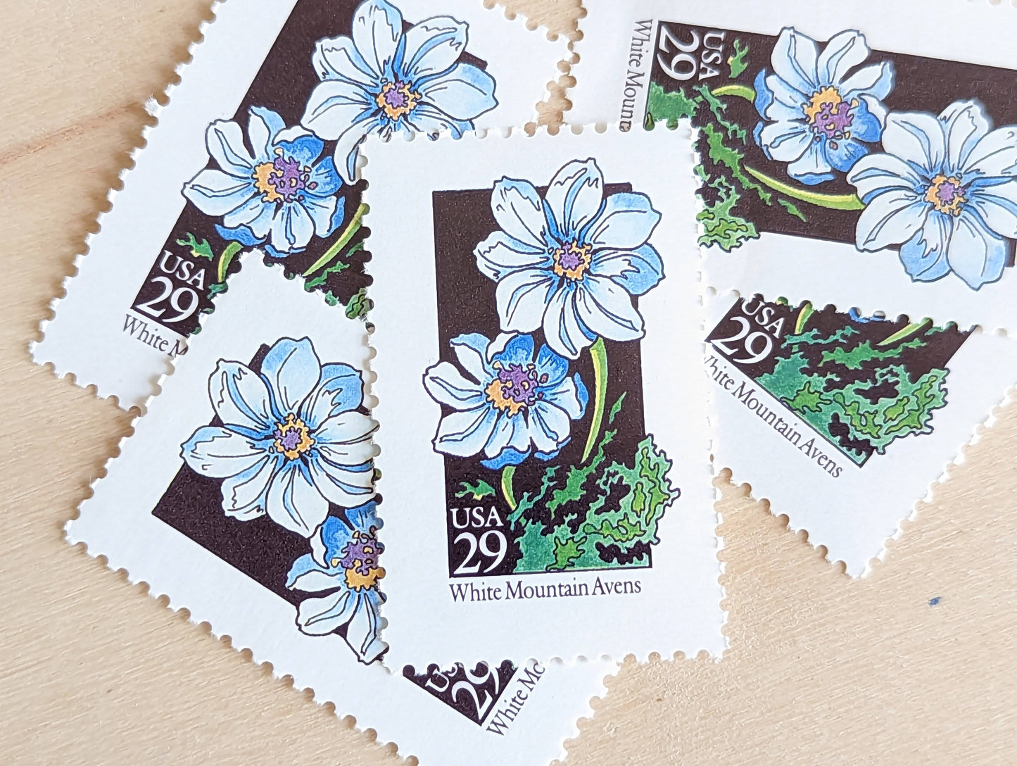 Set of 5 White Mountain Avens Wildflower Stamps, 29 cent stamps, 1992 Unused USPS Postage Stamp