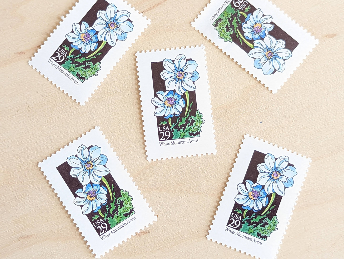 Set of 5 White Mountain Avens Wildflower Stamps, 29 cent stamps, 1992 Unused USPS Postage Stamp