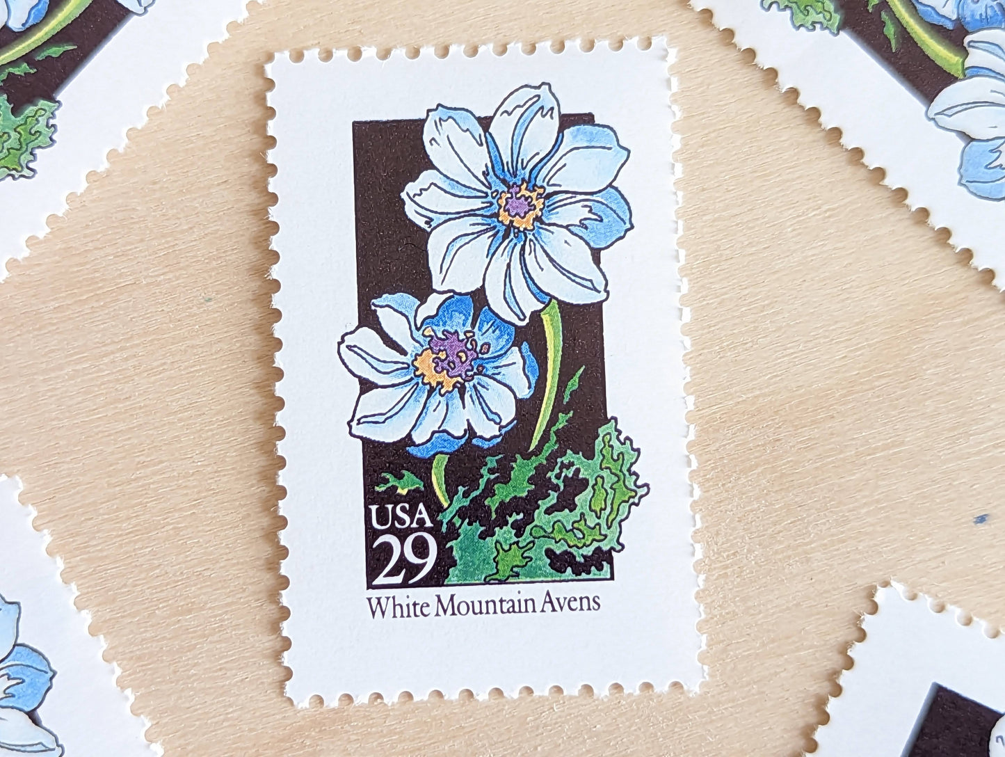 Set of 5 White Mountain Avens Wildflower Stamps, 29 cent stamps, 1992 Unused USPS Postage Stamp