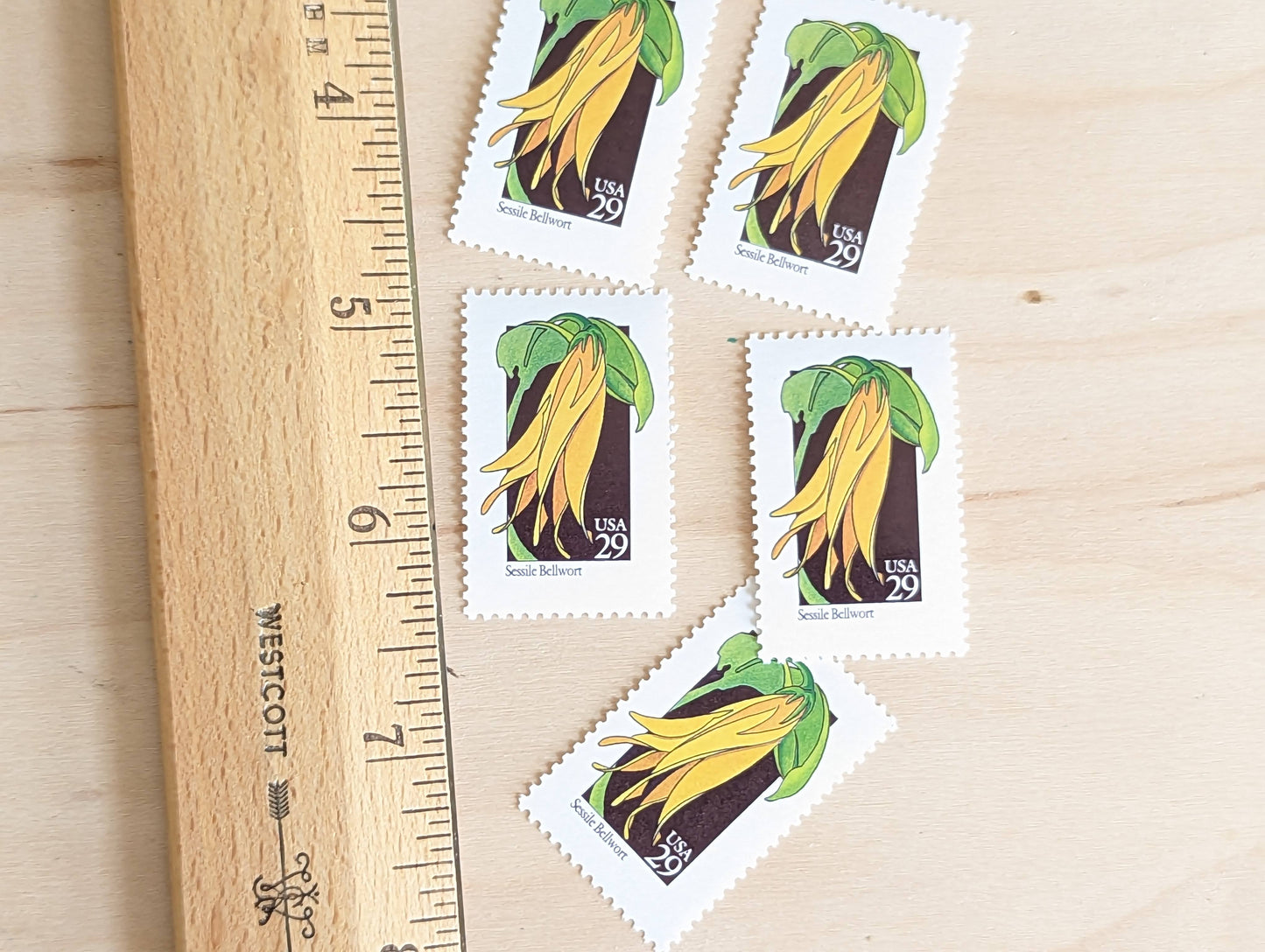 Set of 5 Sessile Bellwort Wildflower Stamps, 29 cent stamps, 1992 Unused USPS Postage Stamp