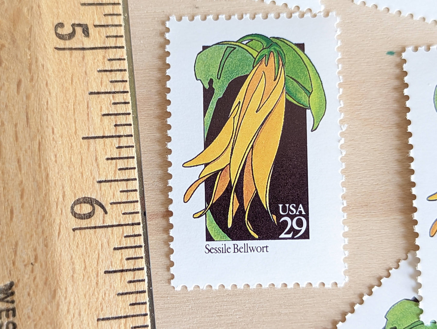 Set of 5 Sessile Bellwort Wildflower Stamps, 29 cent stamps, 1992 Unused USPS Postage Stamp