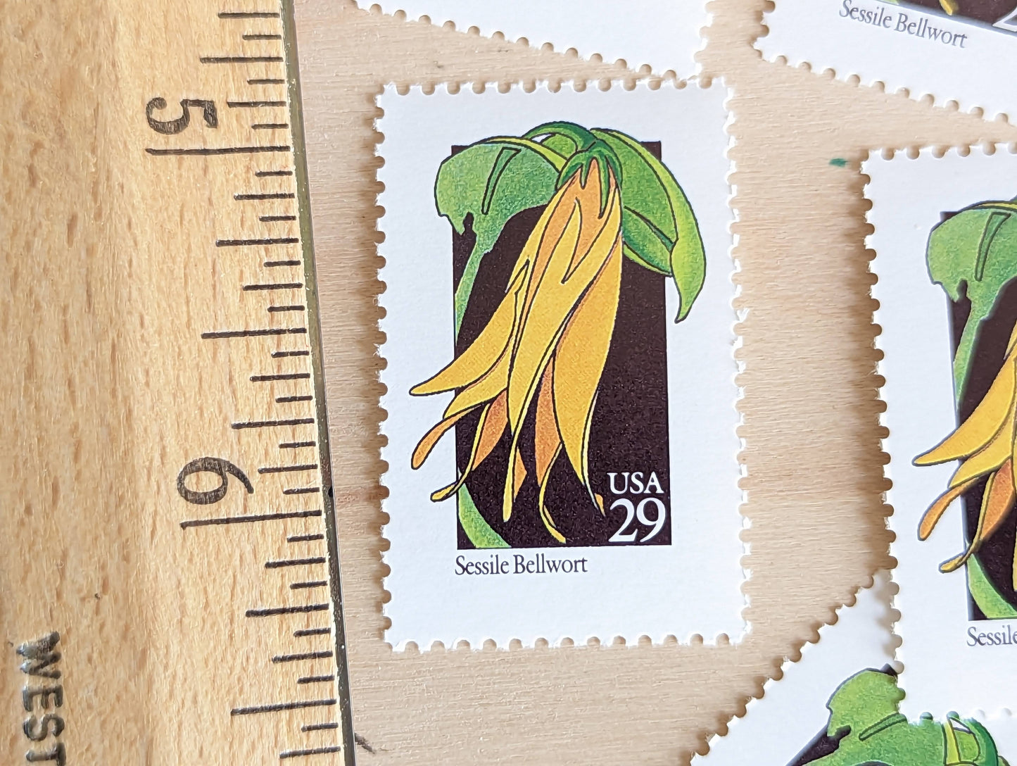 Set of 5 Sessile Bellwort Wildflower Stamps, 29 cent stamps, 1992 Unused USPS Postage Stamp