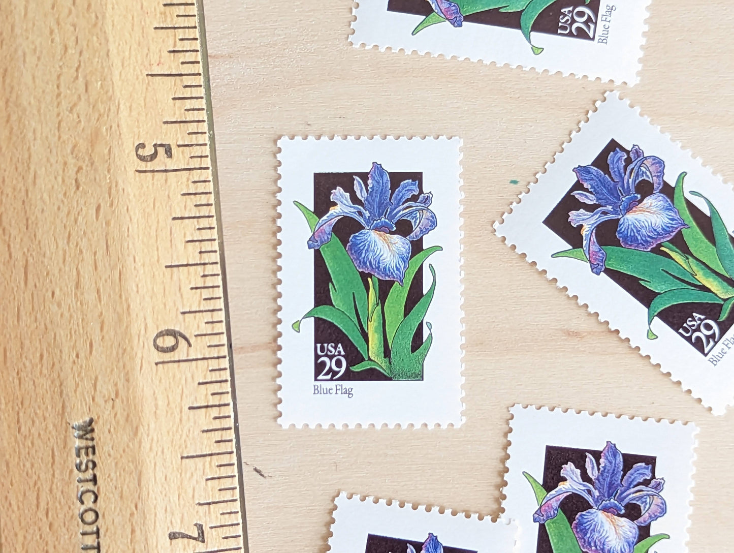 Set of 5 Blue Flag Wildflower Stamps, 29 cent stamps, 1992 Unused USPS Postage Stamp