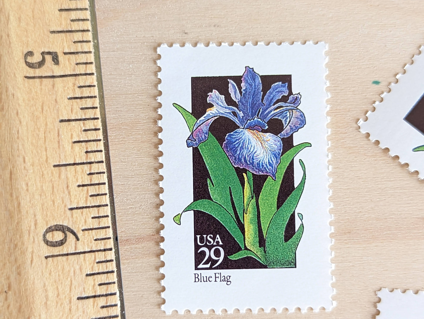 Set of 5 Blue Flag Wildflower Stamps, 29 cent stamps, 1992 Unused USPS Postage Stamp