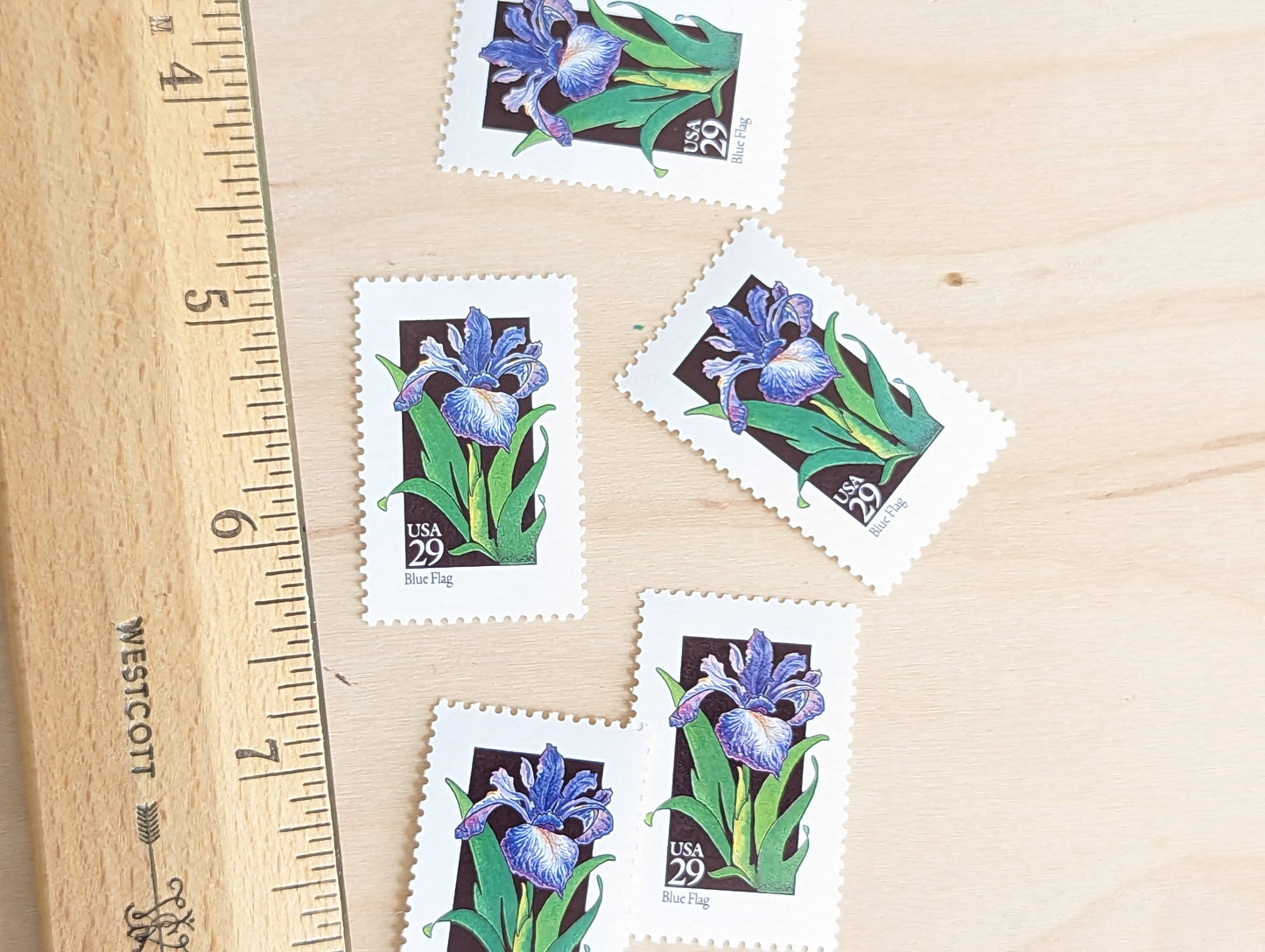 Set of 5 Blue Flag Wildflower Stamps, 29 cent stamps, 1992 Unused USPS Postage Stamp