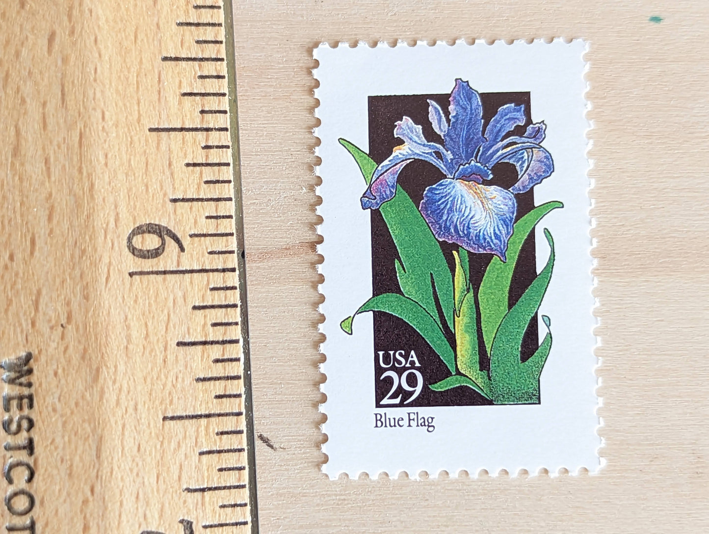 Set of 5 Blue Flag Wildflower Stamps, 29 cent stamps, 1992 Unused USPS Postage Stamp