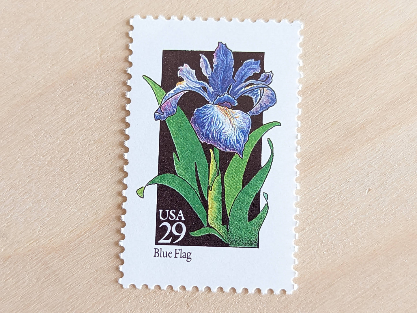 Set of 5 Blue Flag Wildflower Stamps, 29 cent stamps, 1992 Unused USPS Postage Stamp