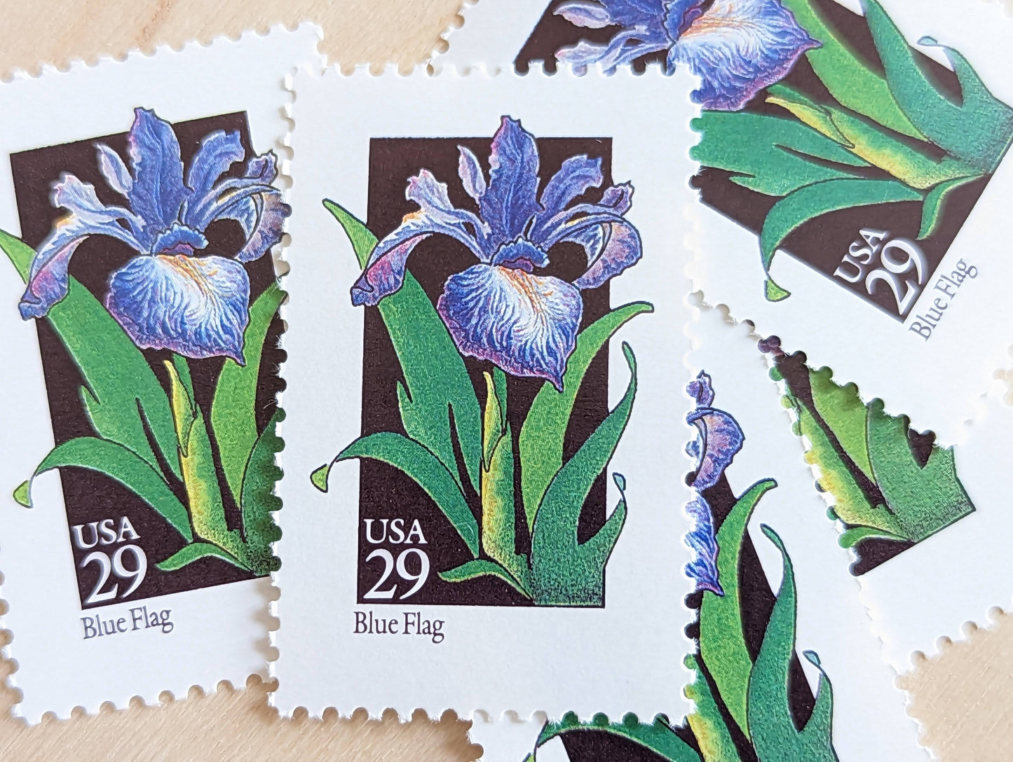 Set of 5 Blue Flag Wildflower Stamps, 29 cent stamps, 1992 Unused USPS Postage Stamp