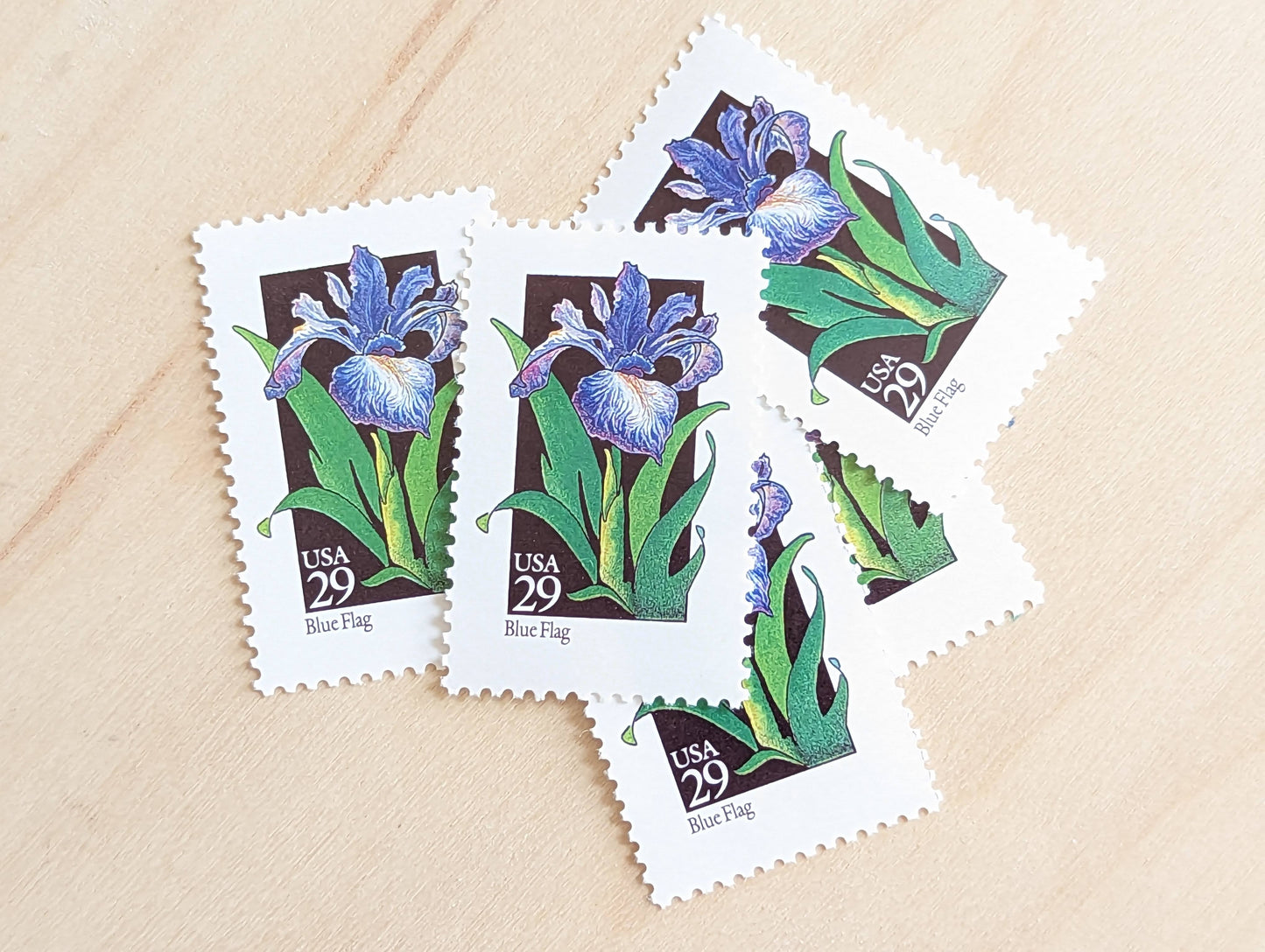 Set of 5 Blue Flag Wildflower Stamps, 29 cent stamps, 1992 Unused USPS Postage Stamp