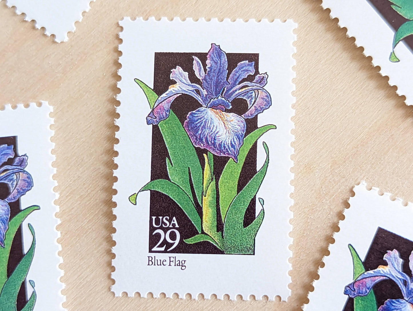 Set of 5 Blue Flag Wildflower Stamps, 29 cent stamps, 1992 Unused USPS Postage Stamp