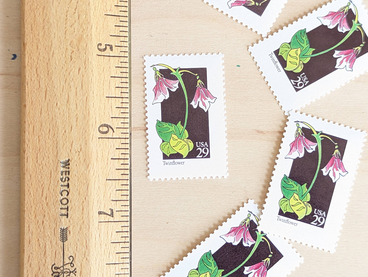 Set of 5 Twinflower Wildflower Stamps, 29 cent stamps, 1992 Unused USPS Postage Stamp