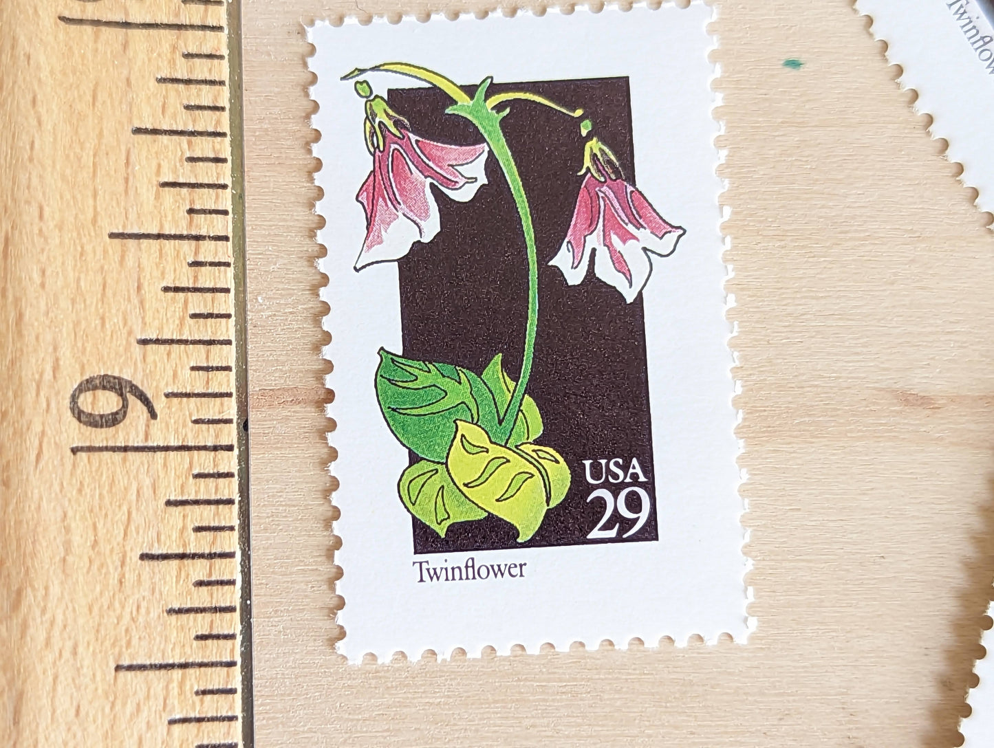 Set of 5 Twinflower Wildflower Stamps, 29 cent stamps, 1992 Unused USPS Postage Stamp