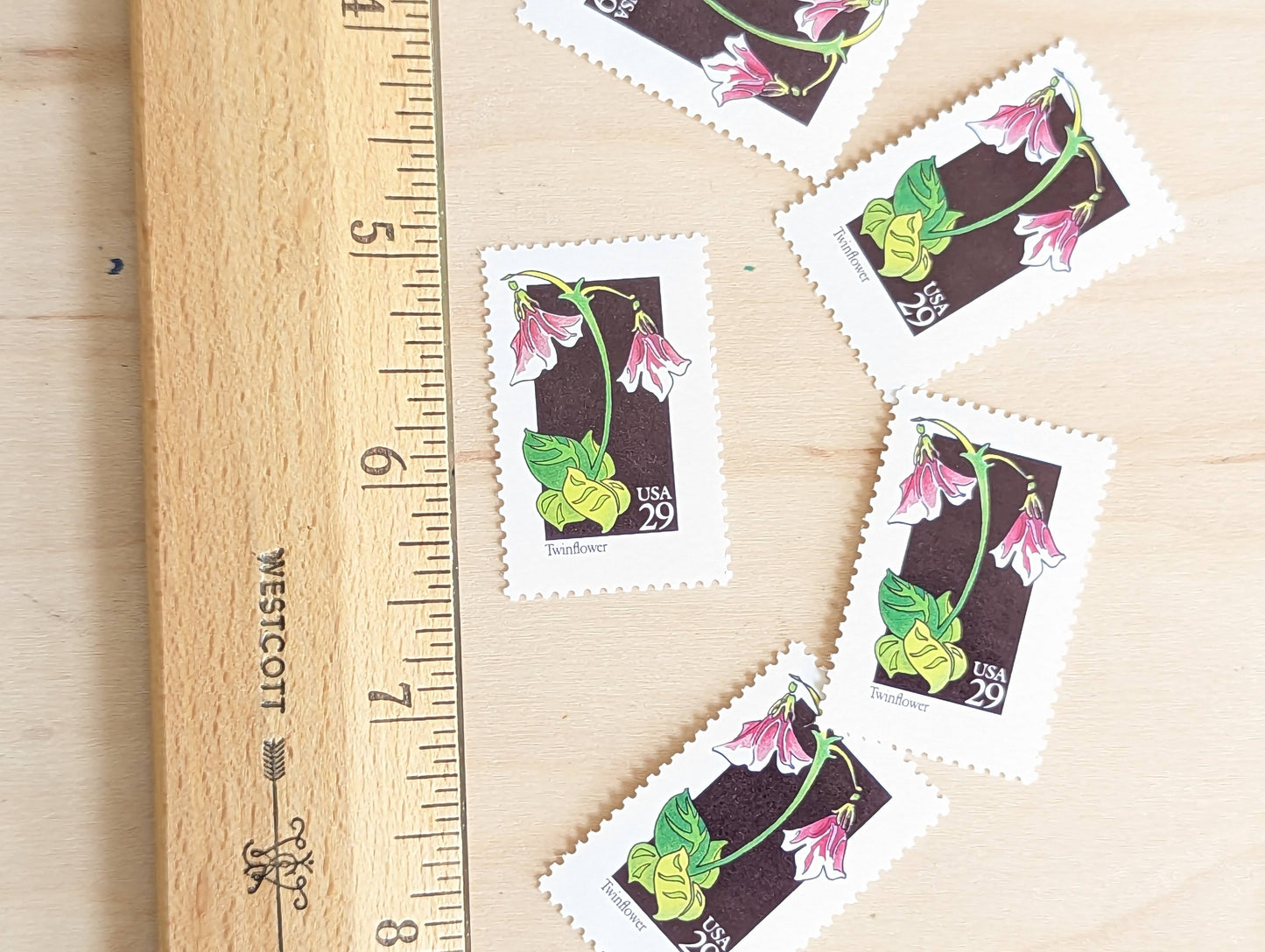 Set of 5 Twinflower Wildflower Stamps, 29 cent stamps, 1992 Unused USPS Postage Stamp