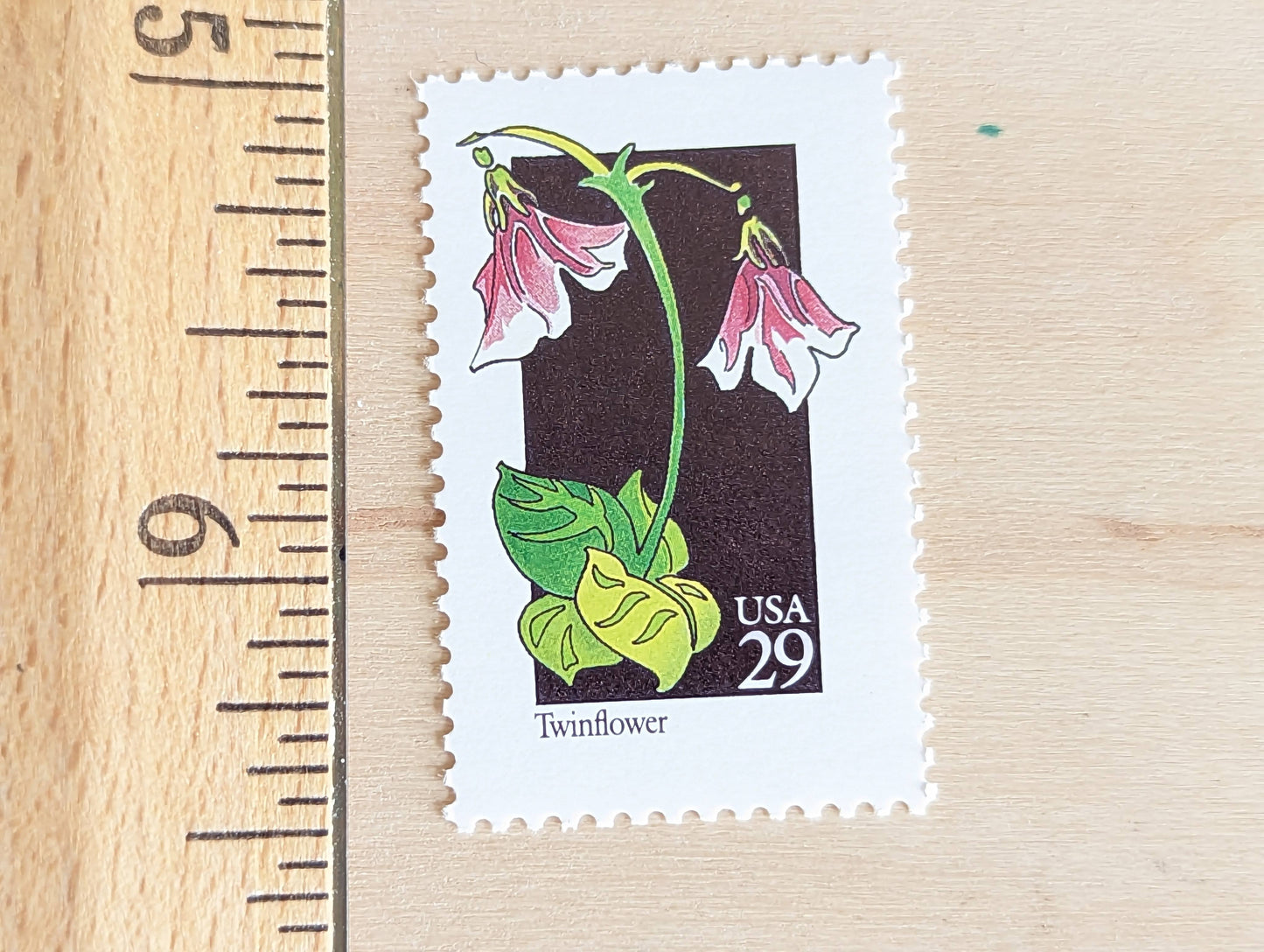 Set of 5 Twinflower Wildflower Stamps, 29 cent stamps, 1992 Unused USPS Postage Stamp