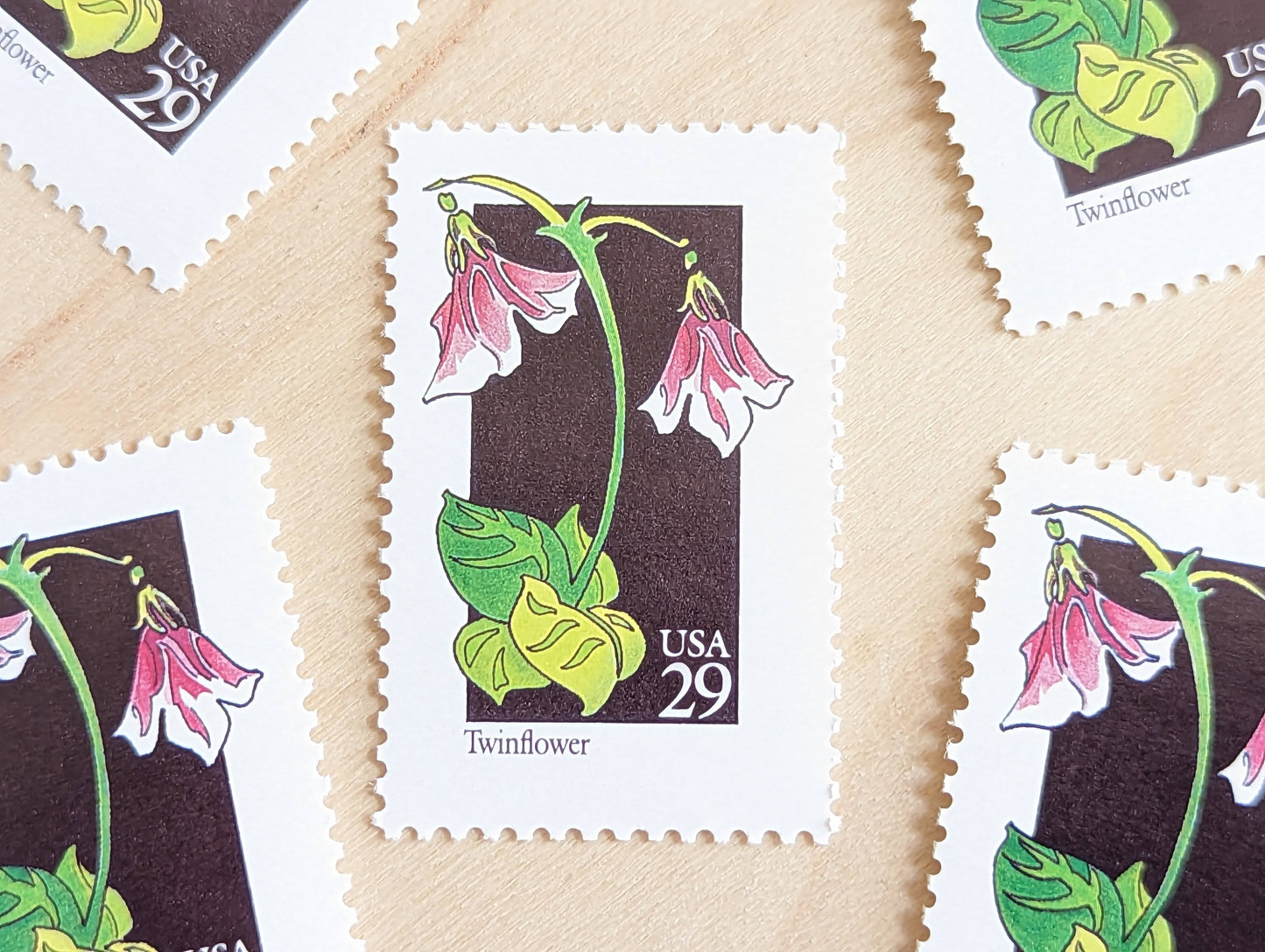 Set of 5 Twinflower Wildflower Stamps, 29 cent stamps, 1992 Unused USPS Postage Stamp