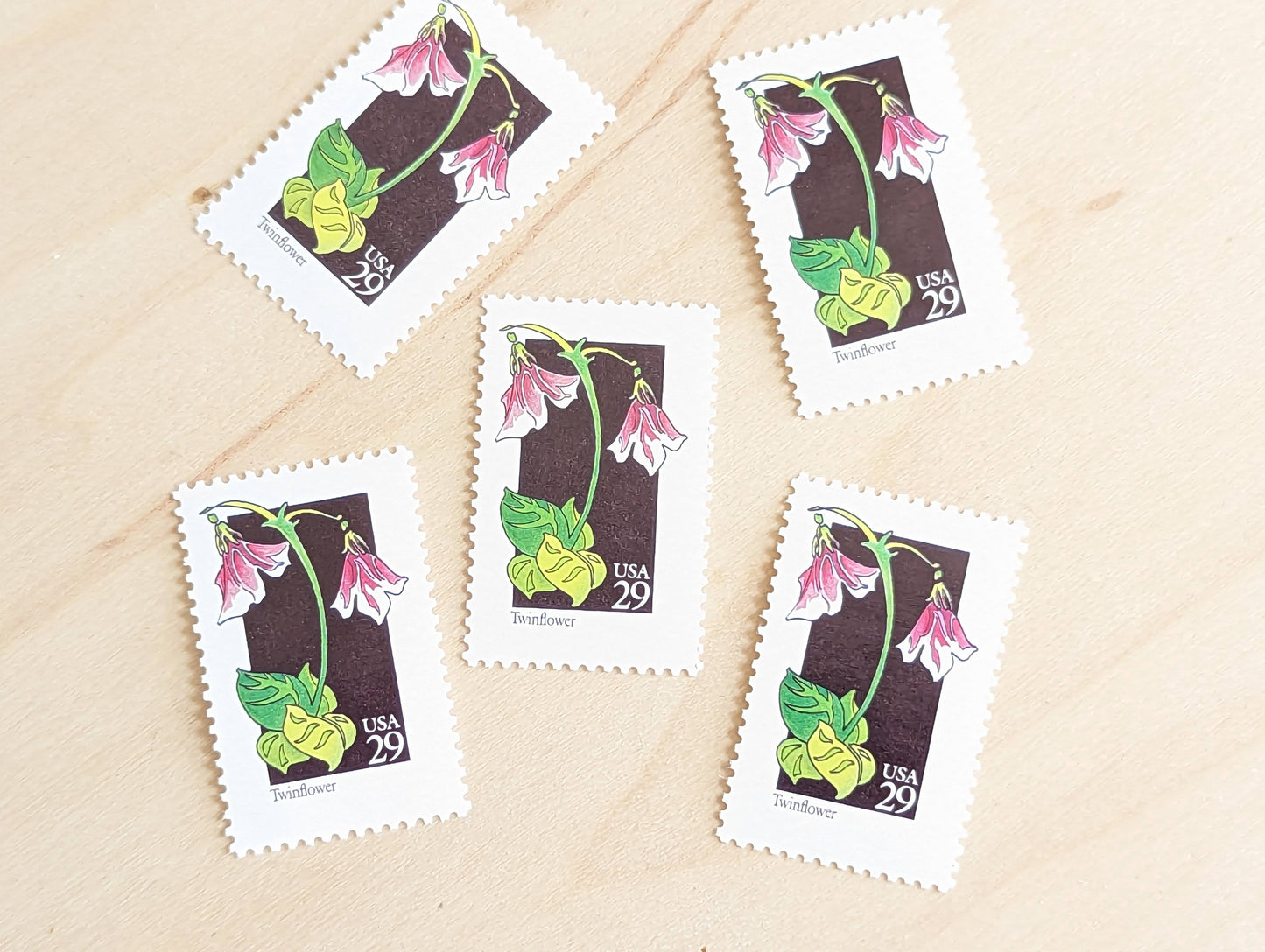 Set of 5 Twinflower Wildflower Stamps, 29 cent stamps, 1992 Unused USPS Postage Stamp