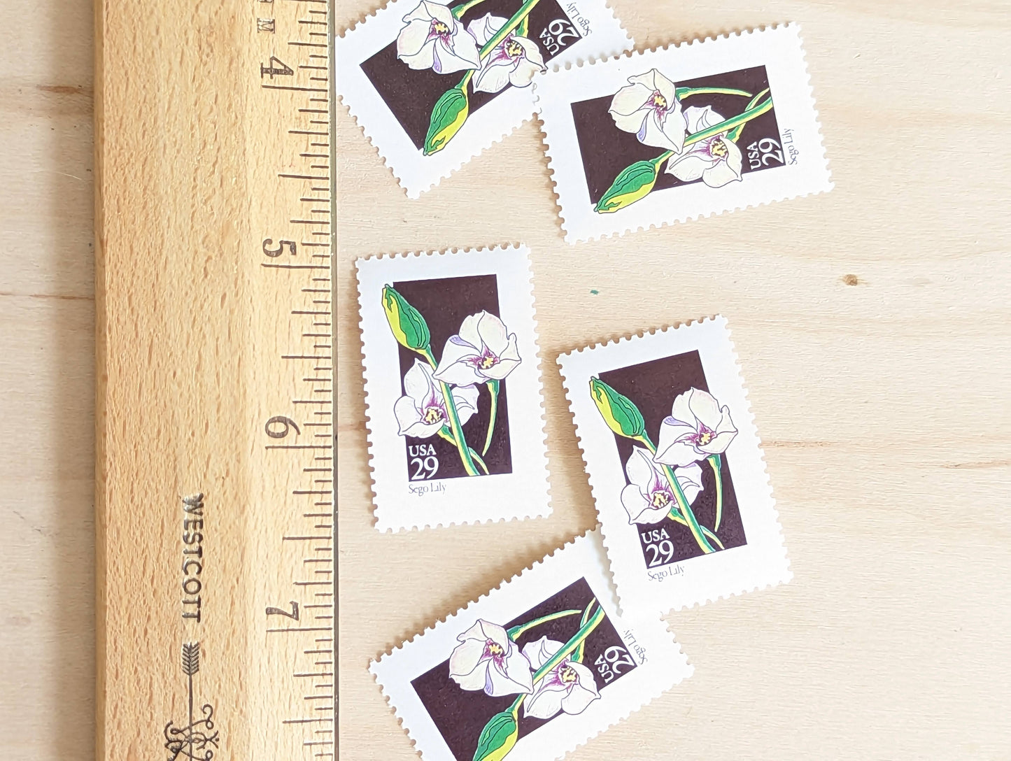 Set of 5 Sego Lily Wildflower Stamps, 29 cent stamps, 1992 Unused USPS Postage Stamp