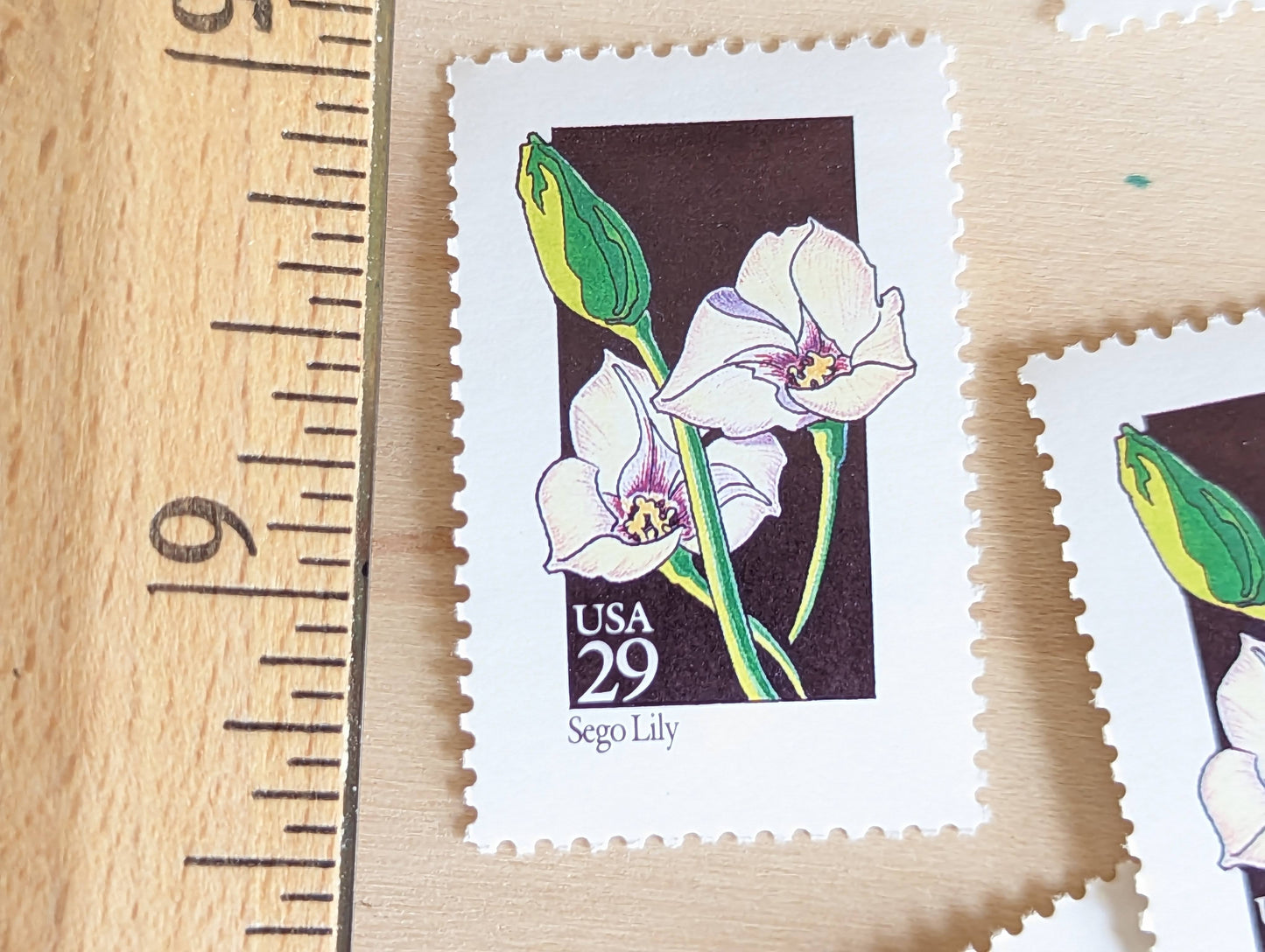 Set of 5 Sego Lily Wildflower Stamps, 29 cent stamps, 1992 Unused USPS Postage Stamp