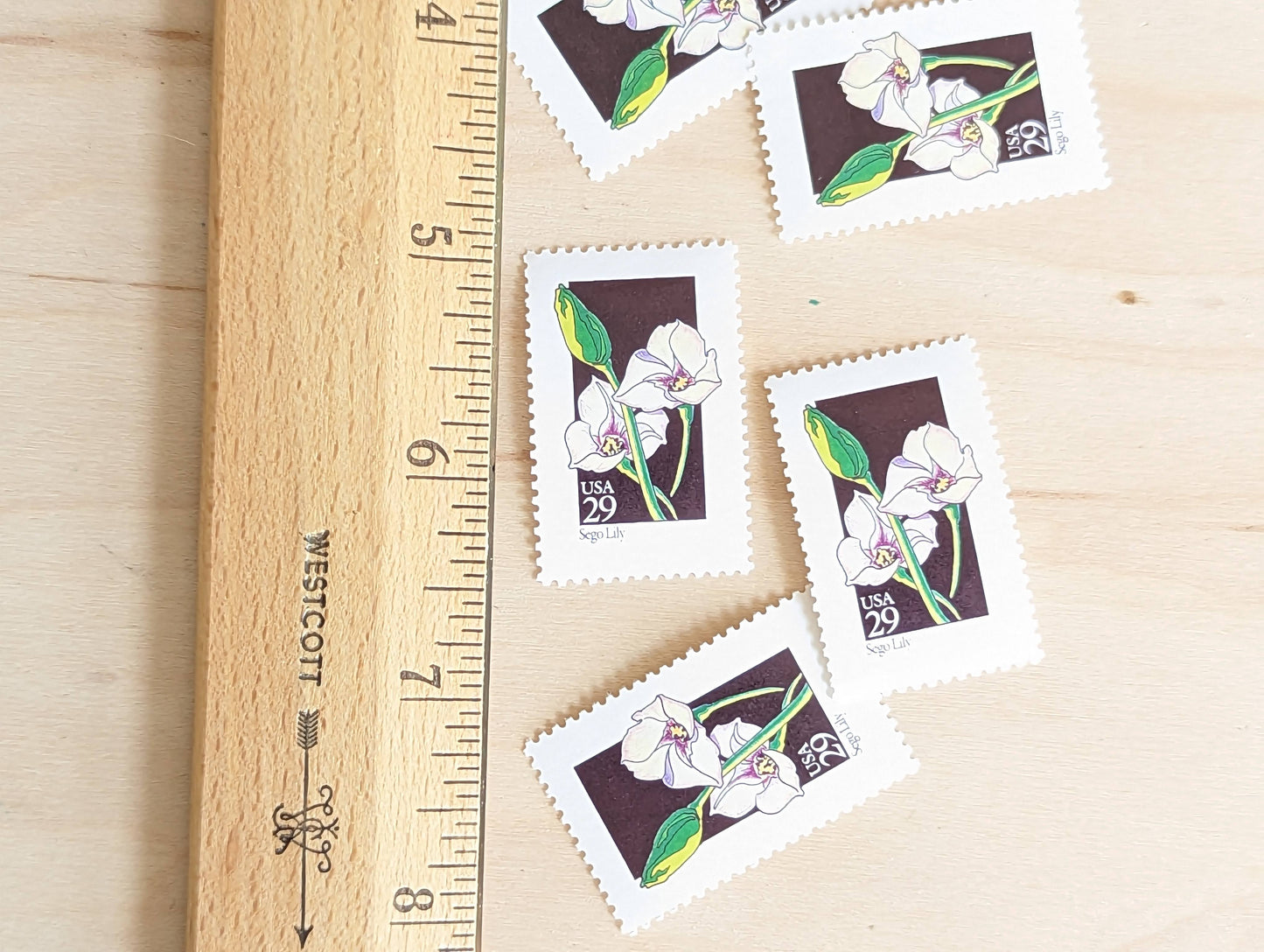 Set of 5 Sego Lily Wildflower Stamps, 29 cent stamps, 1992 Unused USPS Postage Stamp